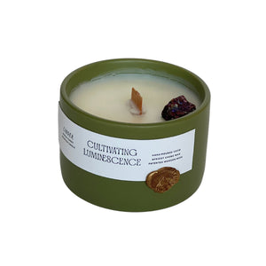 Cinder Candle with Crystals by Cultivating Luminescence