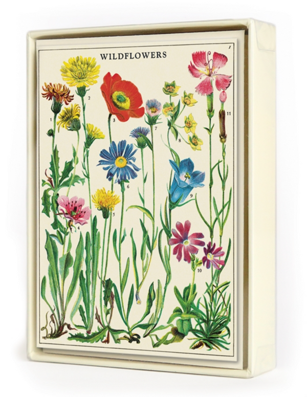 Wildflowers Boxed Note Cards