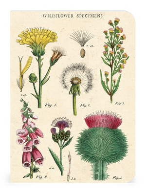 Wildflowers Mini Notebooks