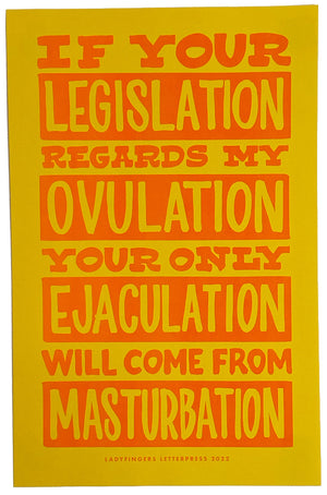 Legislation Poster (Set of 15)