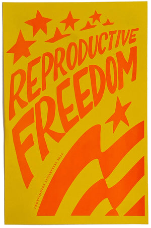 Reproductive Freedom Poster (Set of 15)