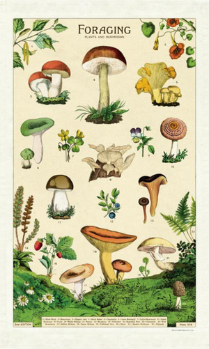 Foraging Mushrooms Tea Towel