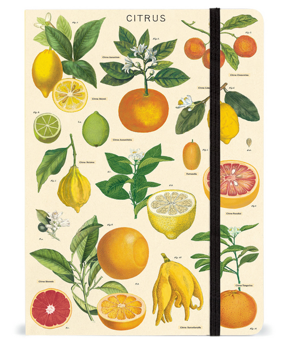 Citrus Large Notebook