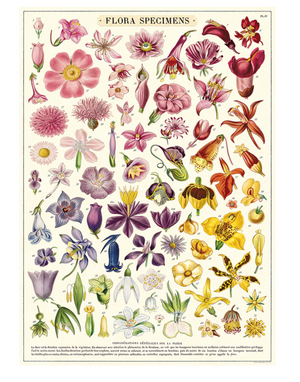 Flora Print