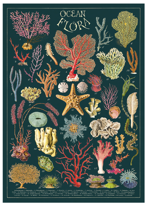 Ocean Flora Print