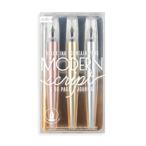 modern metallics script fountain pens and journal