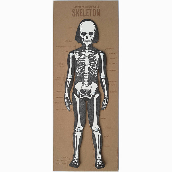 Skeleton Articulated figure by Blackbird Letterpress