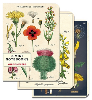 Wildflowers Mini Notebooks