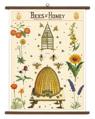 Bees & Honey School Chart