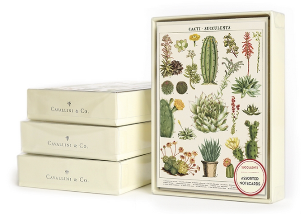 Succulents Boxed Note Cards