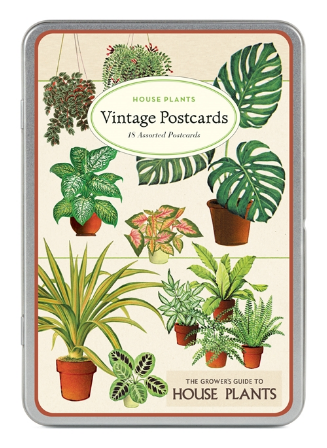 House Plants Postcards