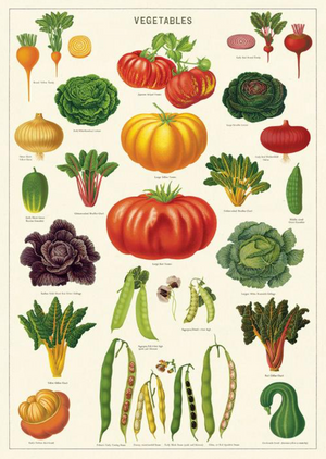Vegetable Garden Print
