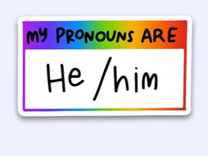 He/Him - My Pronouns Are Sticker