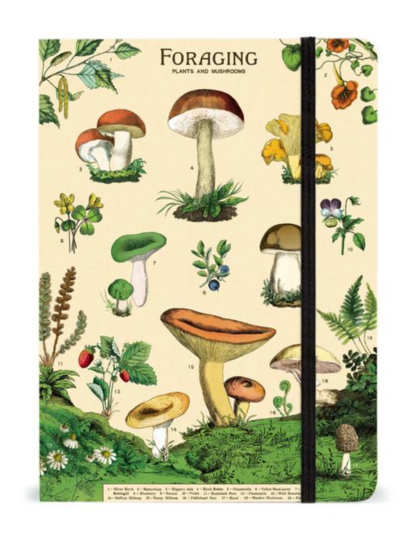 Foraging Large Notebook