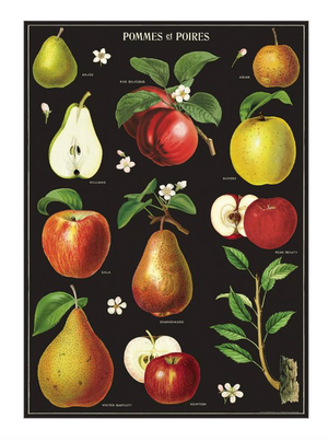 Apples & Pears Print