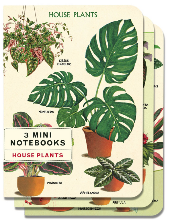 House Plants 3 Mini Notebook by Cavallini