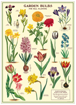 Garden Bulb Print