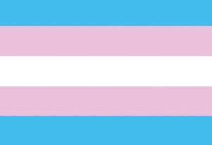 Transgender Flag Jumbo Magnet by Kalan Lp