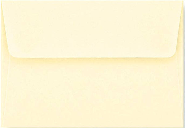 Black And Cream Thank You Notes by Peter Pauper Press