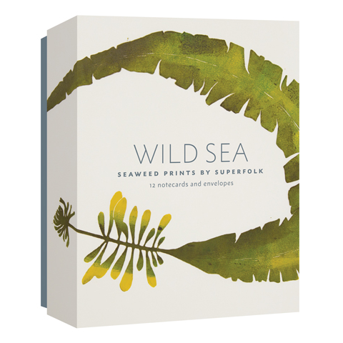 Wild Sea Notecards Box Set